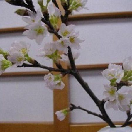 Wakaba Ryokan / Vacation Stay 29370 Sakata Zewnętrze zdjęcie